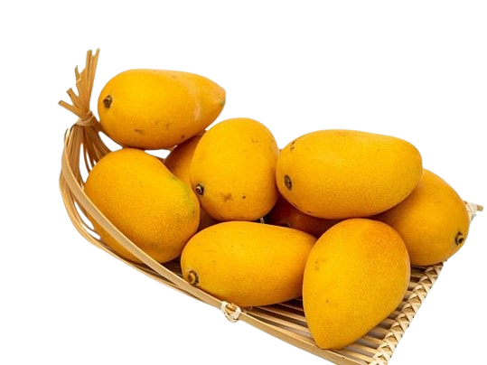 Exotic Mango Delights